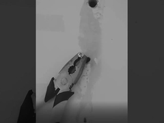 uszczelniacz silikonowy